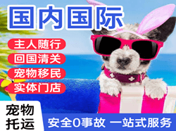 梅州梅县机场快递国际宠物托运 【国